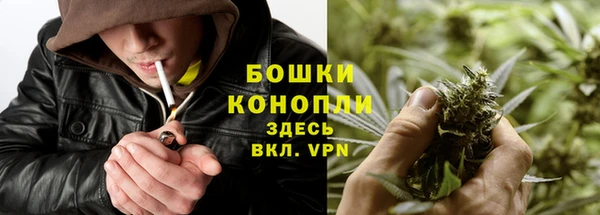 spice Осинники
